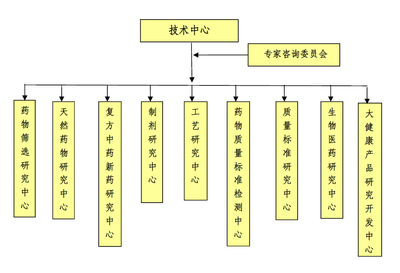 國家級(jí)企業(yè)技術(shù)中心 創(chuàng)新引擎下的技術(shù)交流與協(xié)同發(fā)展